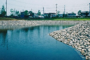 きらめきの池01