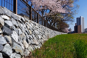 大落古利根川01