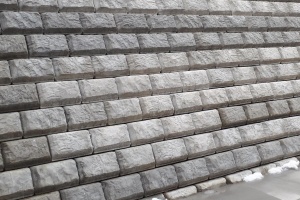 野山北・六道山公園03